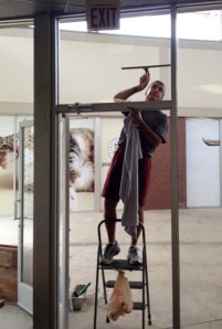 Washing windows copy